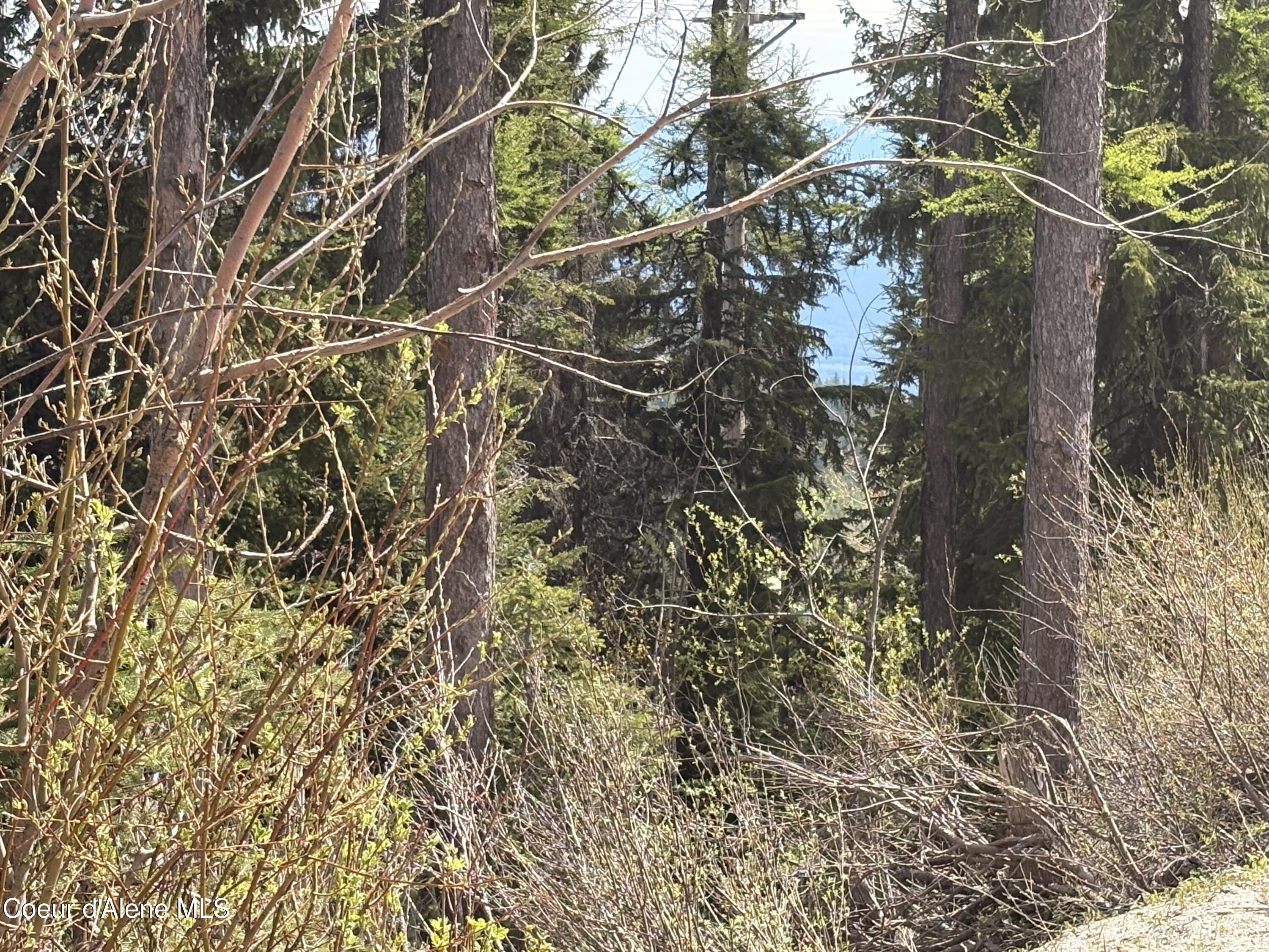 06 Parallel Run Sandpoint, ID 83864 - Photo 5 of 6 Parallel Run Lot 9A