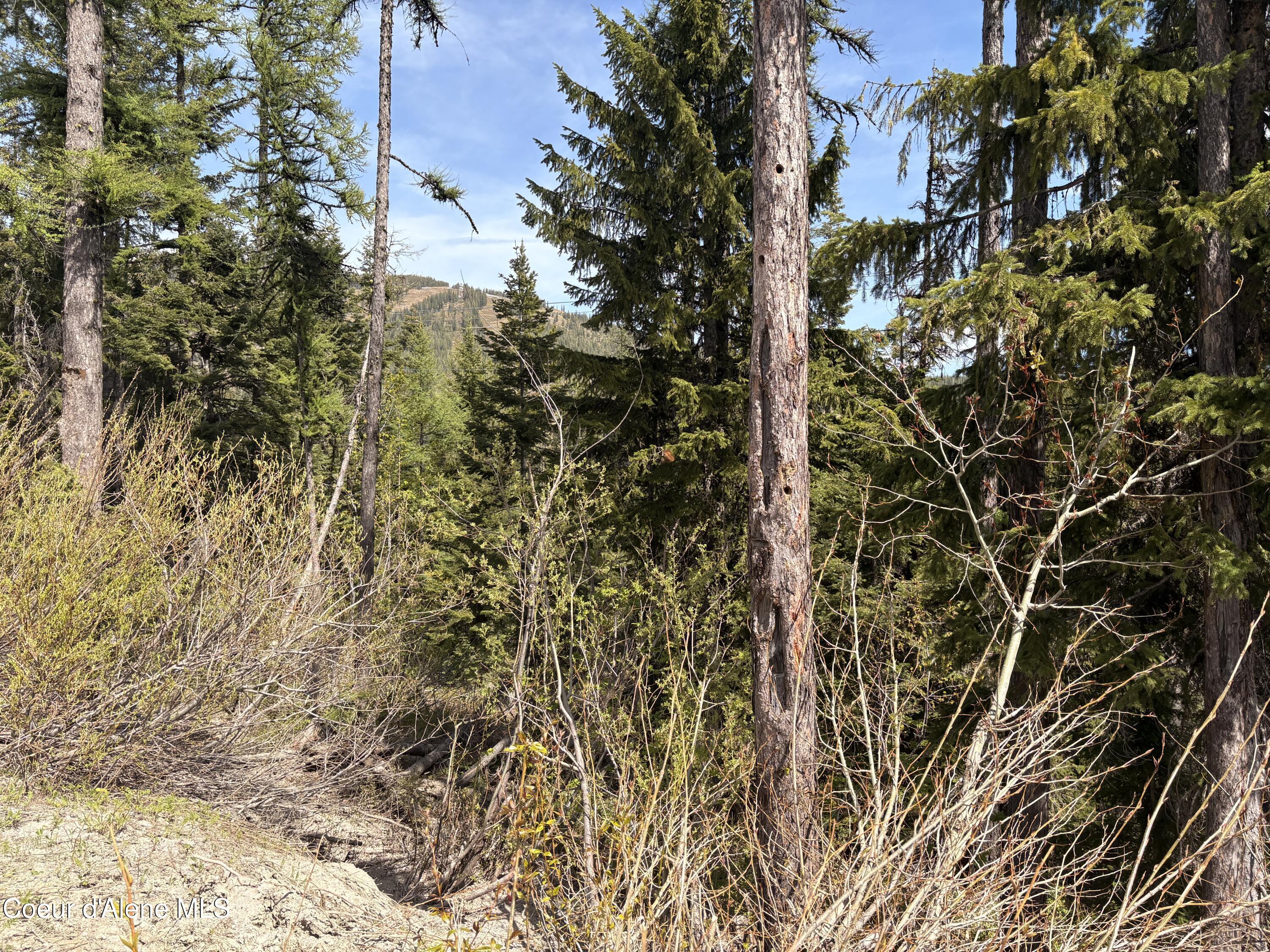 06 Parallel Run Sandpoint, ID 83864 - Photo 6 of 6 View From Parallel Run 9A