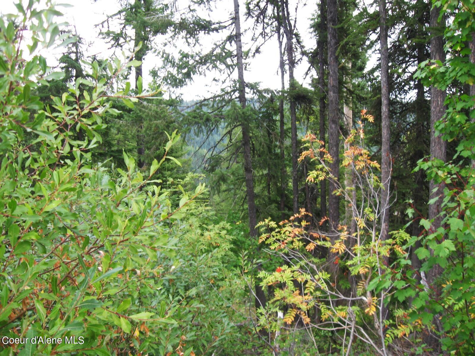 06 Parallel Run Sandpoint, ID 83864 - Photo 6 of 6 IMG_0625