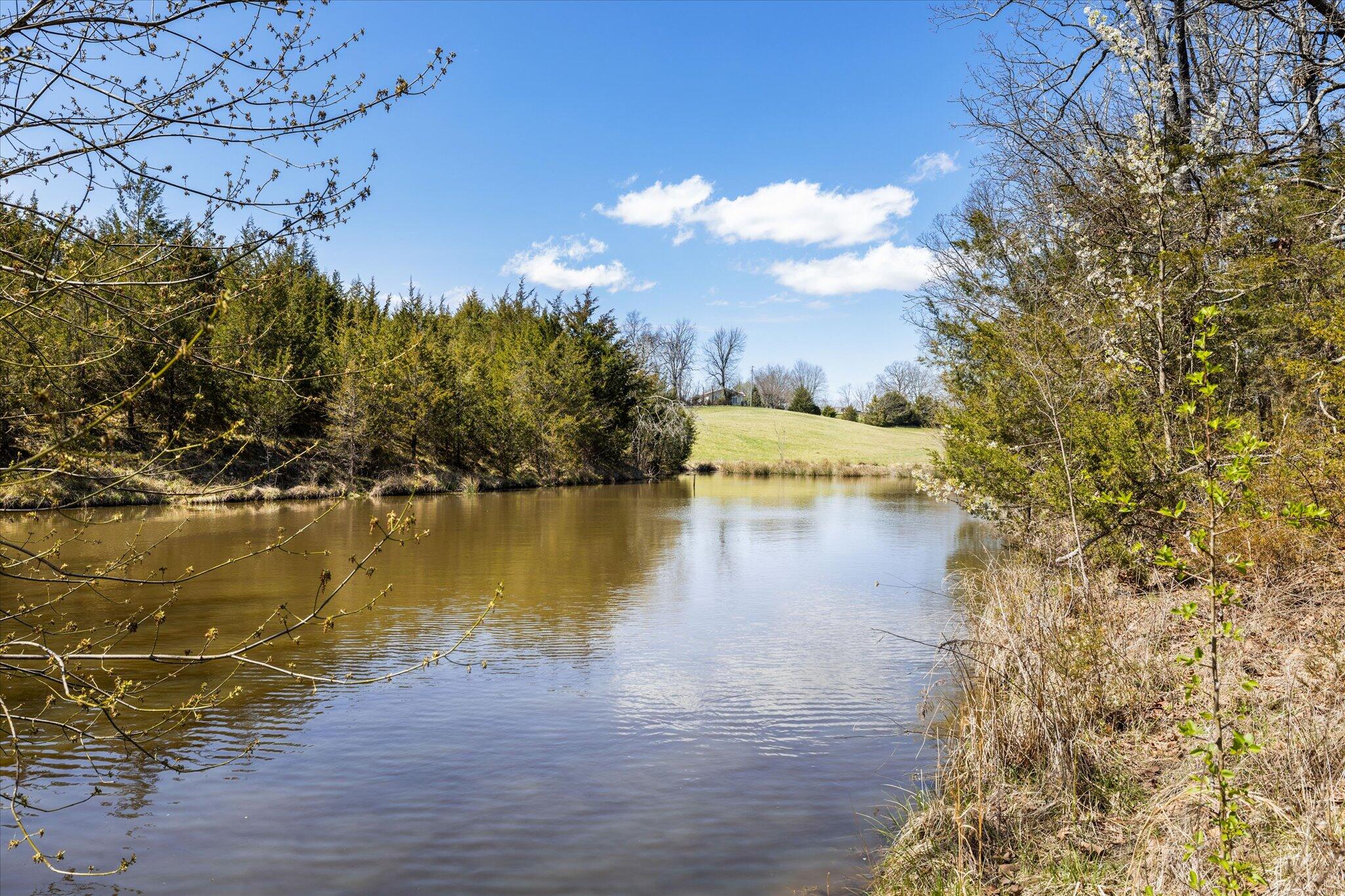 855 Welcome Grove Road Mosheim, TN 37818 - Photo 1 of 21 19-IMG_0493
