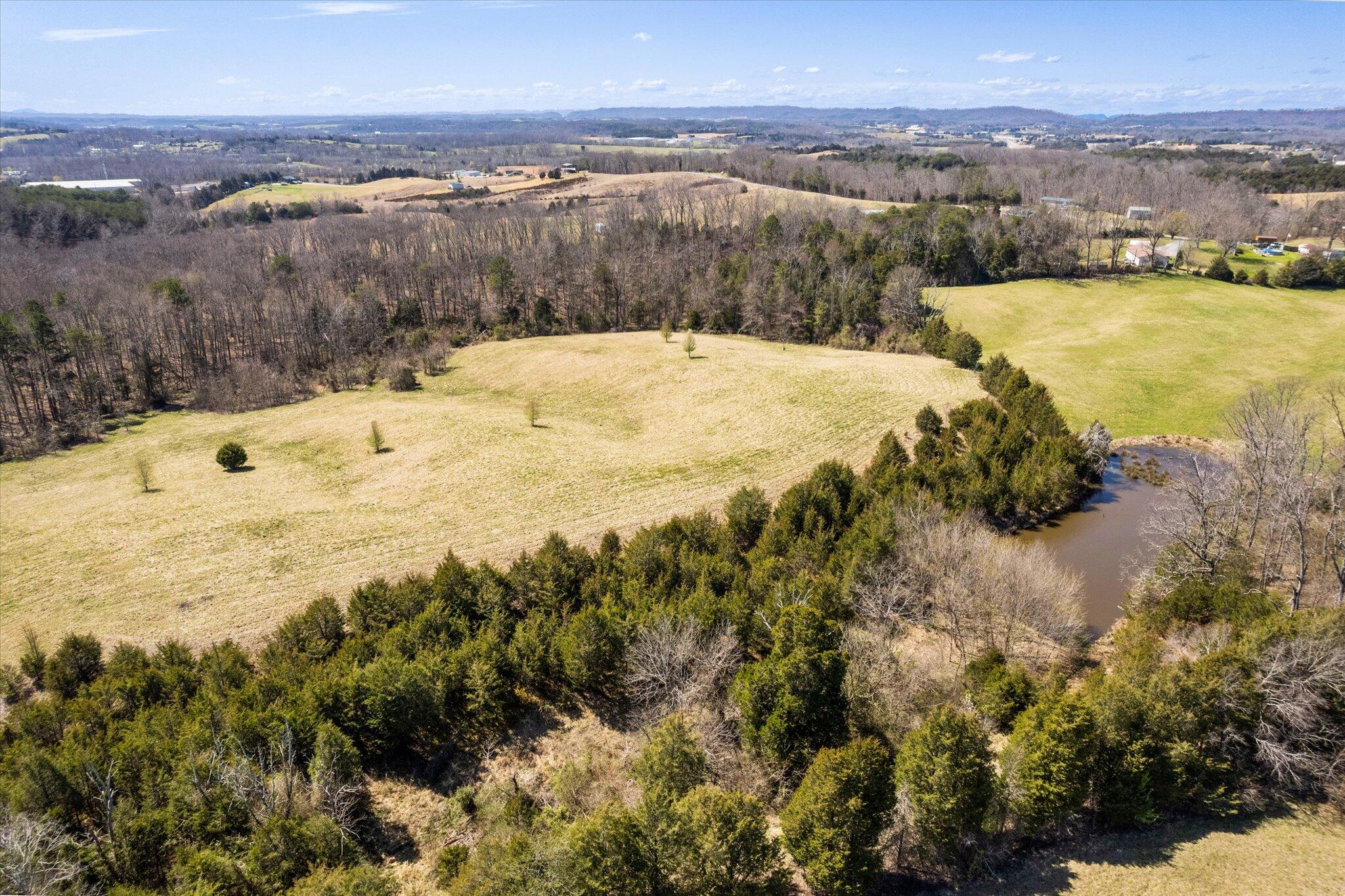 855 Welcome Grove Road Mosheim, TN 37818 - Photo 12 of 21 10-DJI_0111