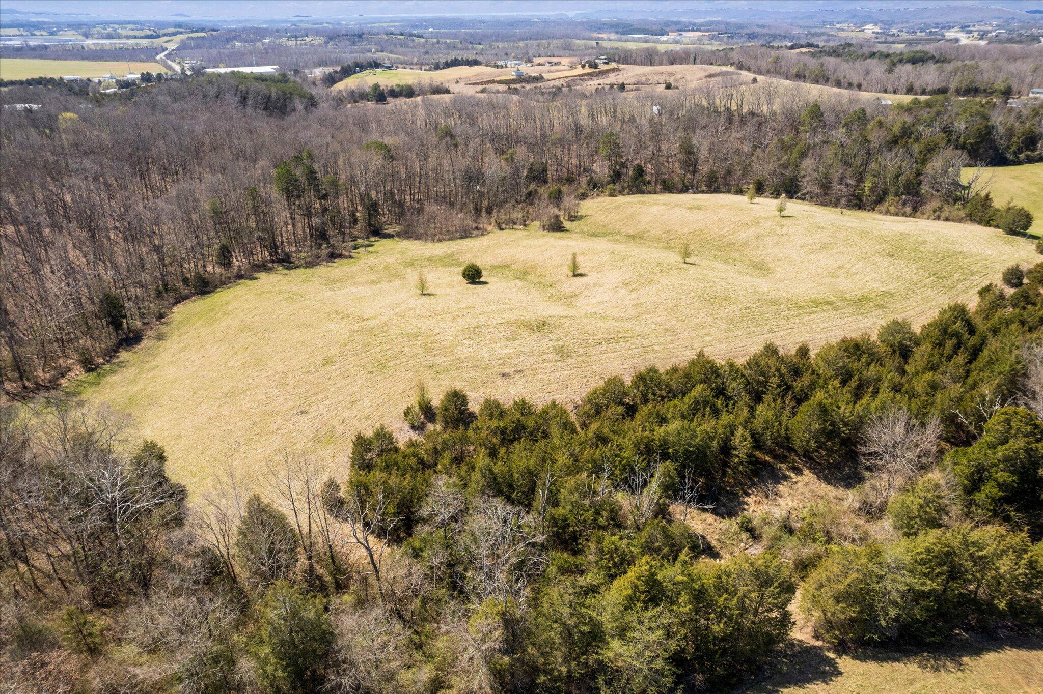 855 Welcome Grove Road Mosheim, TN 37818 - Photo 15 of 21 07-DJI_0086