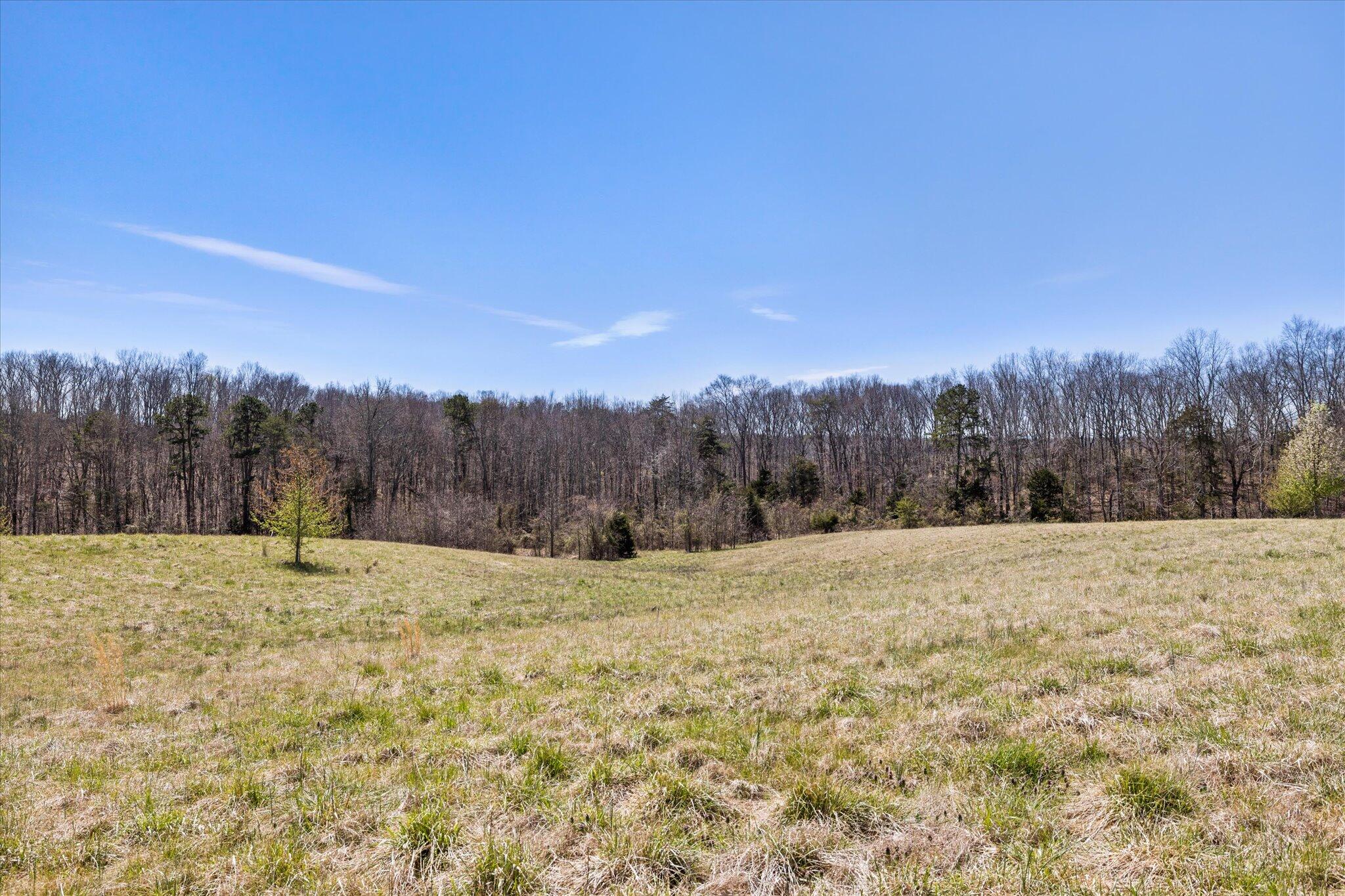 855 Welcome Grove Road Mosheim, TN 37818 - Photo 2 of 21 21-IMG_0509
