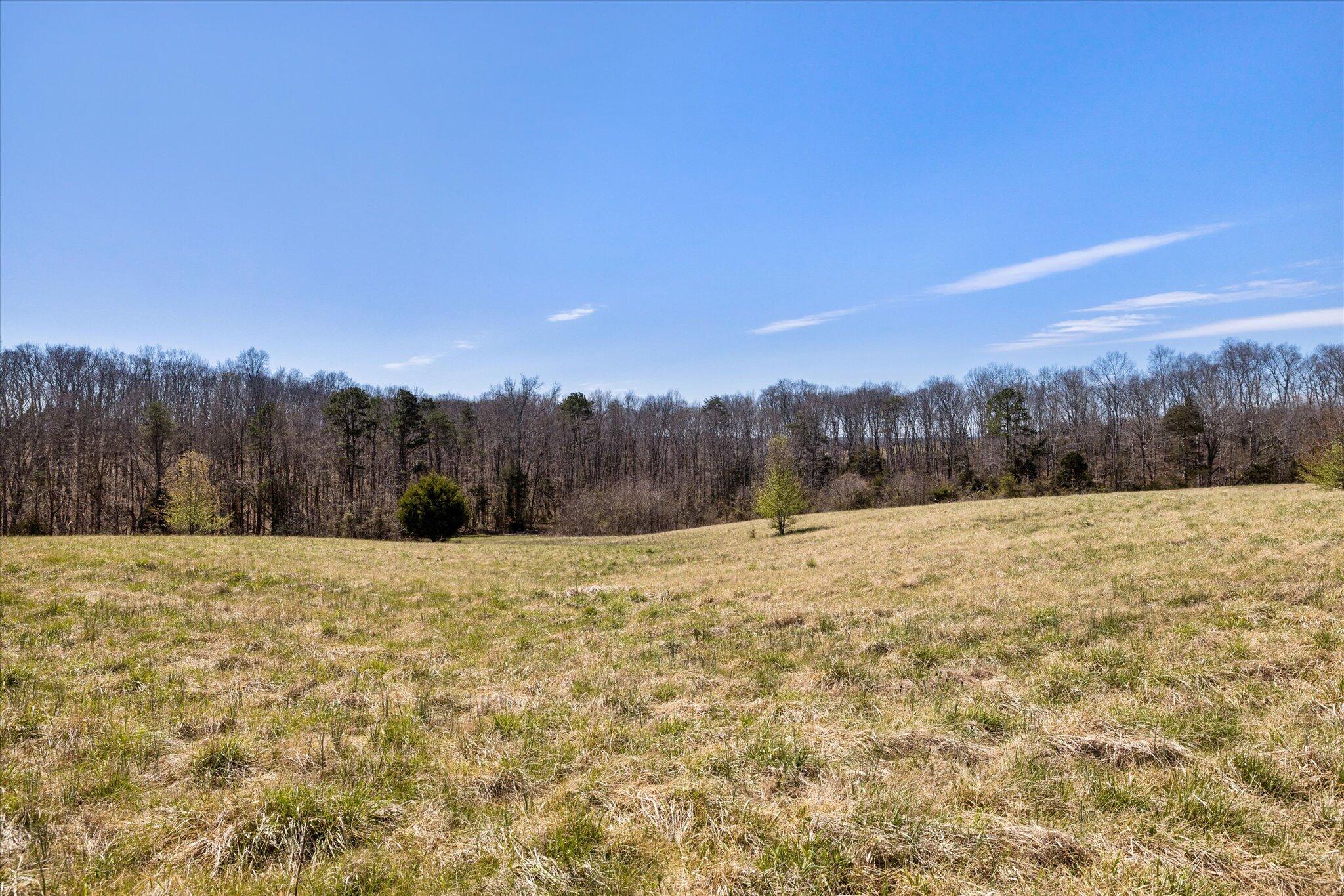 855 Welcome Grove Road Mosheim, TN 37818 - Photo 3 of 21 20-IMG_0504