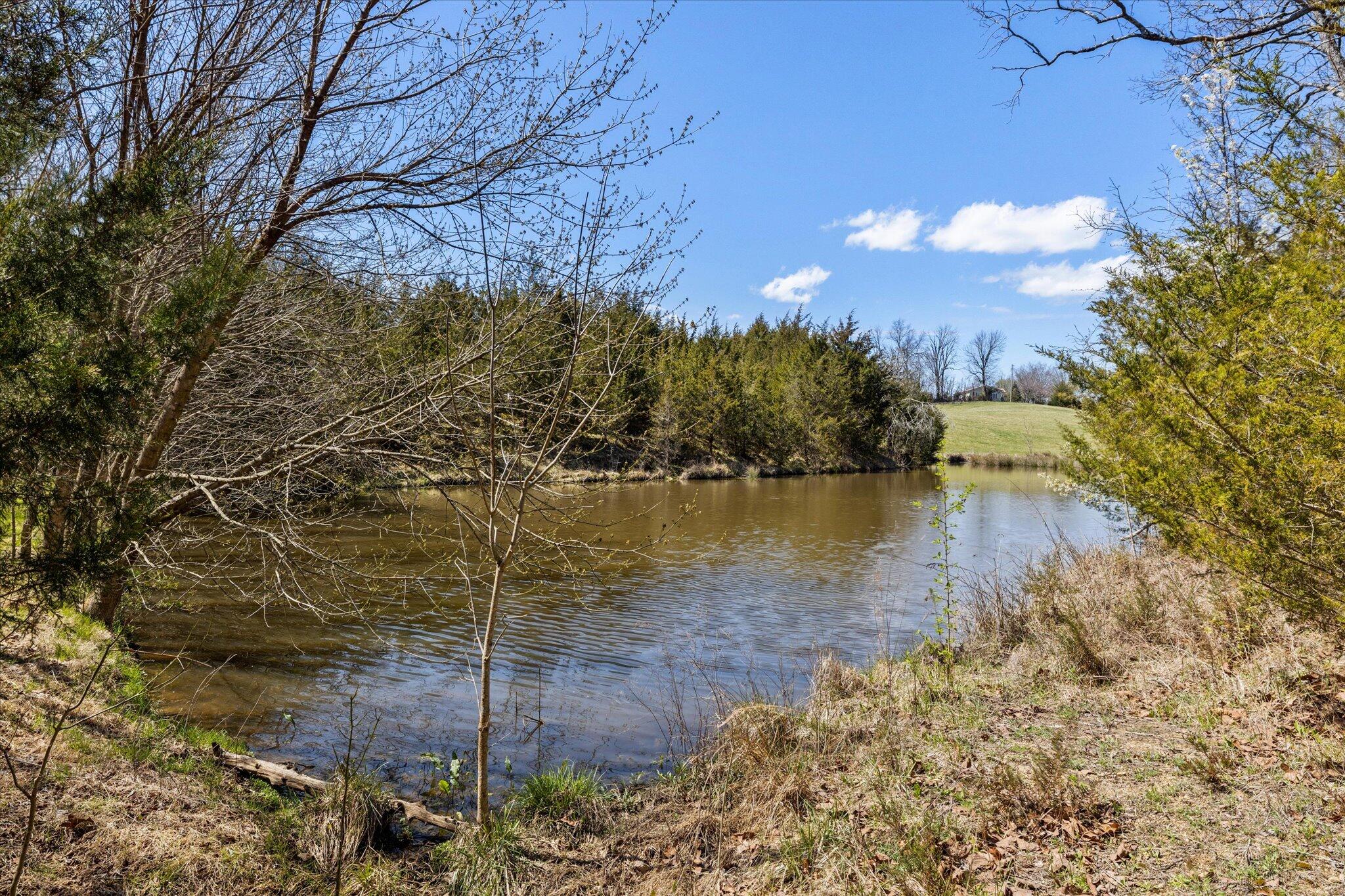 855 Welcome Grove Road Mosheim, TN 37818 - Photo 4 of 21 18-IMG_0488
