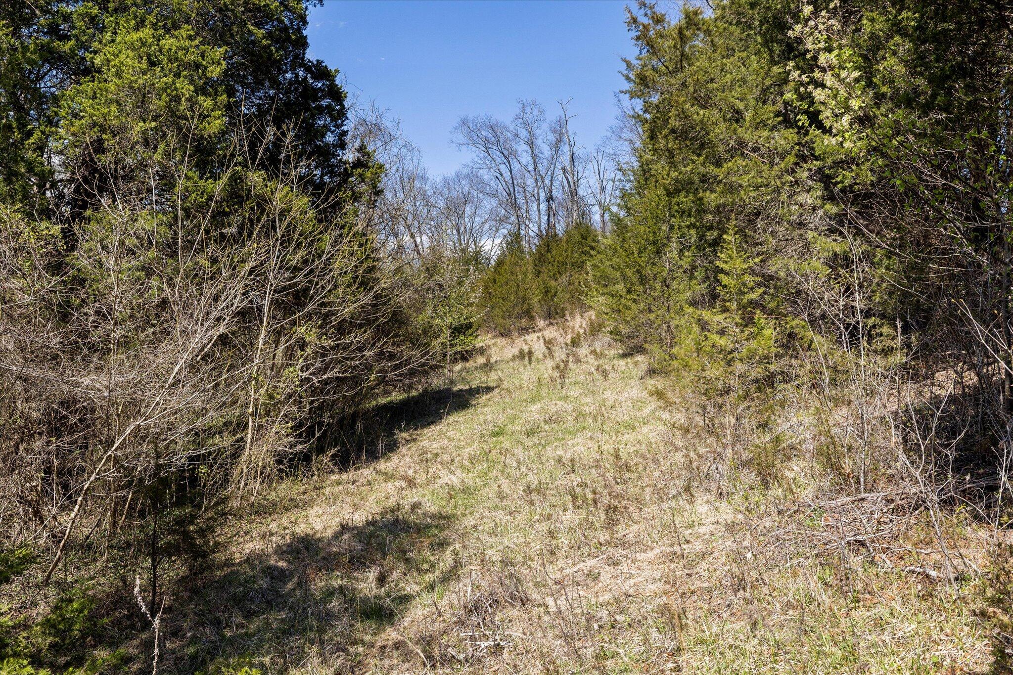 855 Welcome Grove Road Mosheim, TN 37818 - Photo 5 of 21 17-IMG_0483