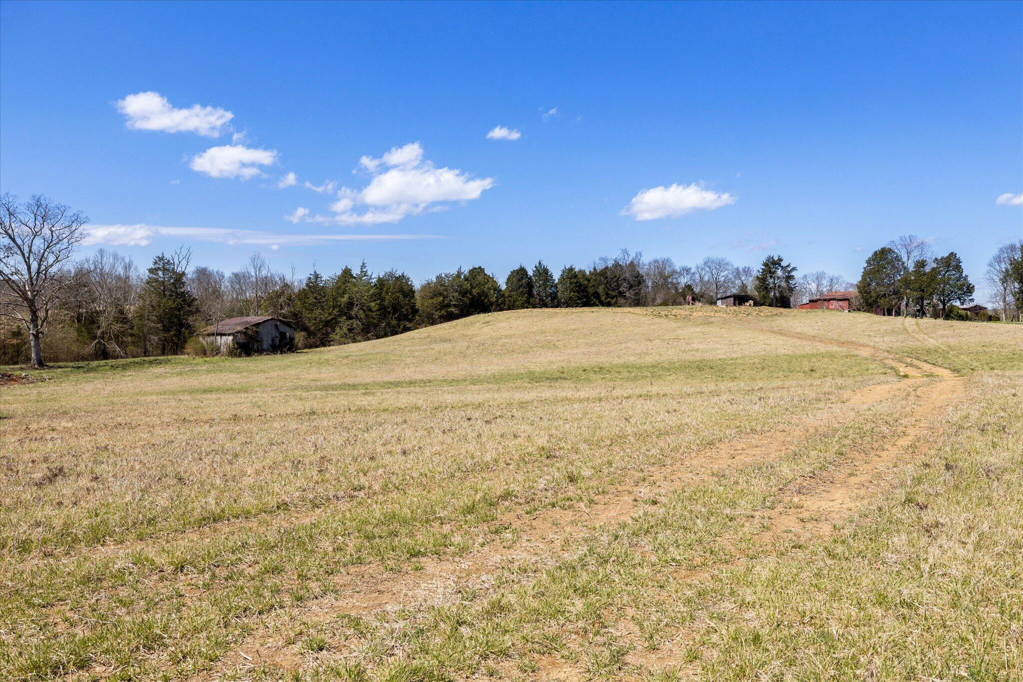 855 Welcome Grove Road Mosheim, TN 37818 - Photo 8 of 21 14-IMG_0468