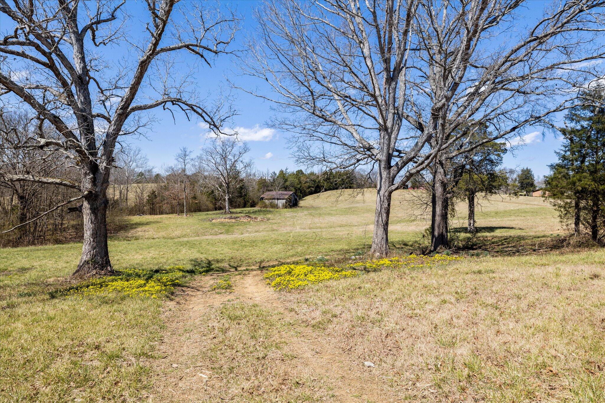 855 Welcome Grove Road Mosheim, TN 37818 - Photo 9 of 21 13-IMG_0458
