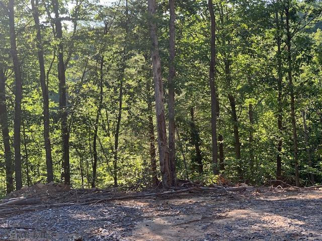 1009 A Six Mile Run Road Six Mile Run, PA 16679 - Photo 24 of 47 Gallery Image 24