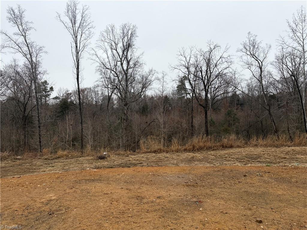 5456 Rock Valley Drive Trinity, NC 27370 - Photo 4 of 24 .81 Acre lot with tons of trees!