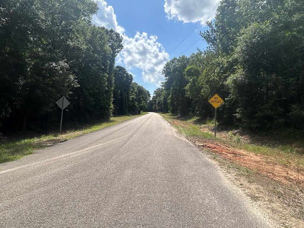 19.16-ac 19.16-ac Ramer Loop Cottonwood, AL 36320 - Photo 32 of 34