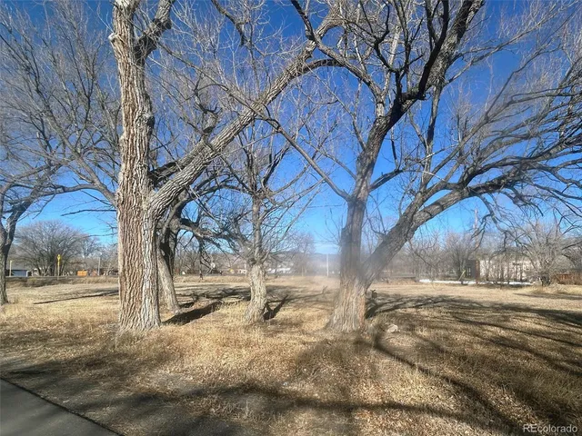 a view of a yard covered with snow on the road