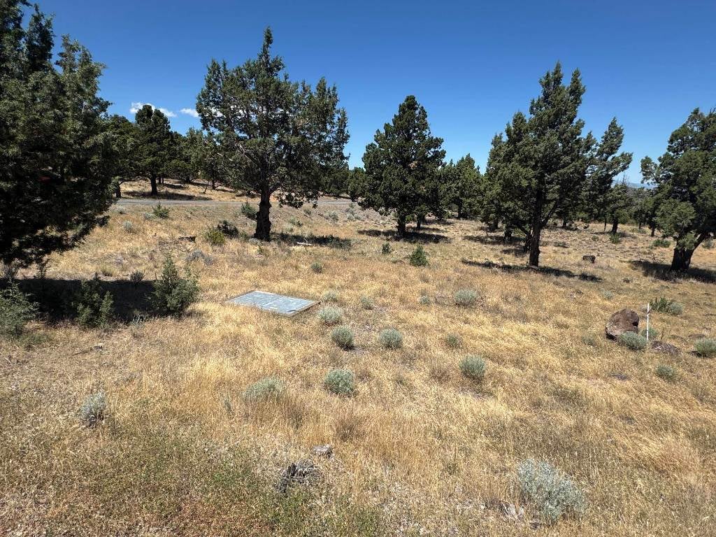 U 9-2 Lot 258 Quail Ridge Weed, CA 96094 - Photo 4 of 23 Gallery Image 4