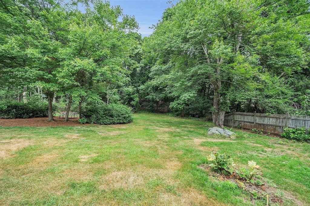 67 Hall Road Chelmsford, MA 01824 - Photo 29 of 35 a fire hydrant in the middle of a field