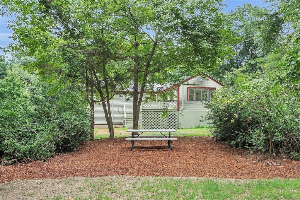 67 Hall Road Chelmsford, MA 01824 - Photo 31 of 35 a small garden covered with tall trees