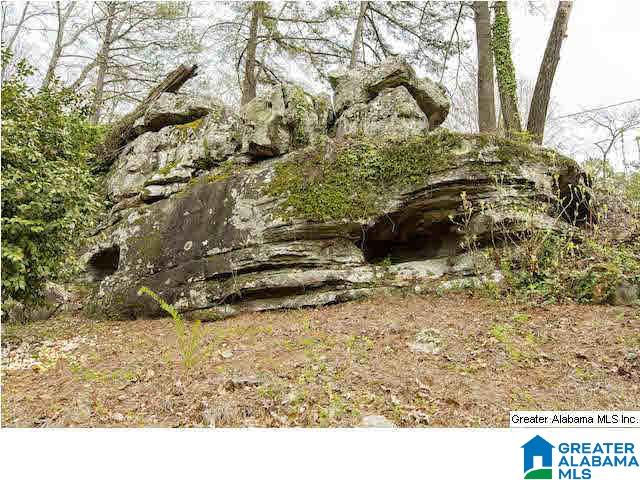 311 Cross Ridge Road Birmingham, AL 35213 - Photo 4 of 25 Gallery Image 4