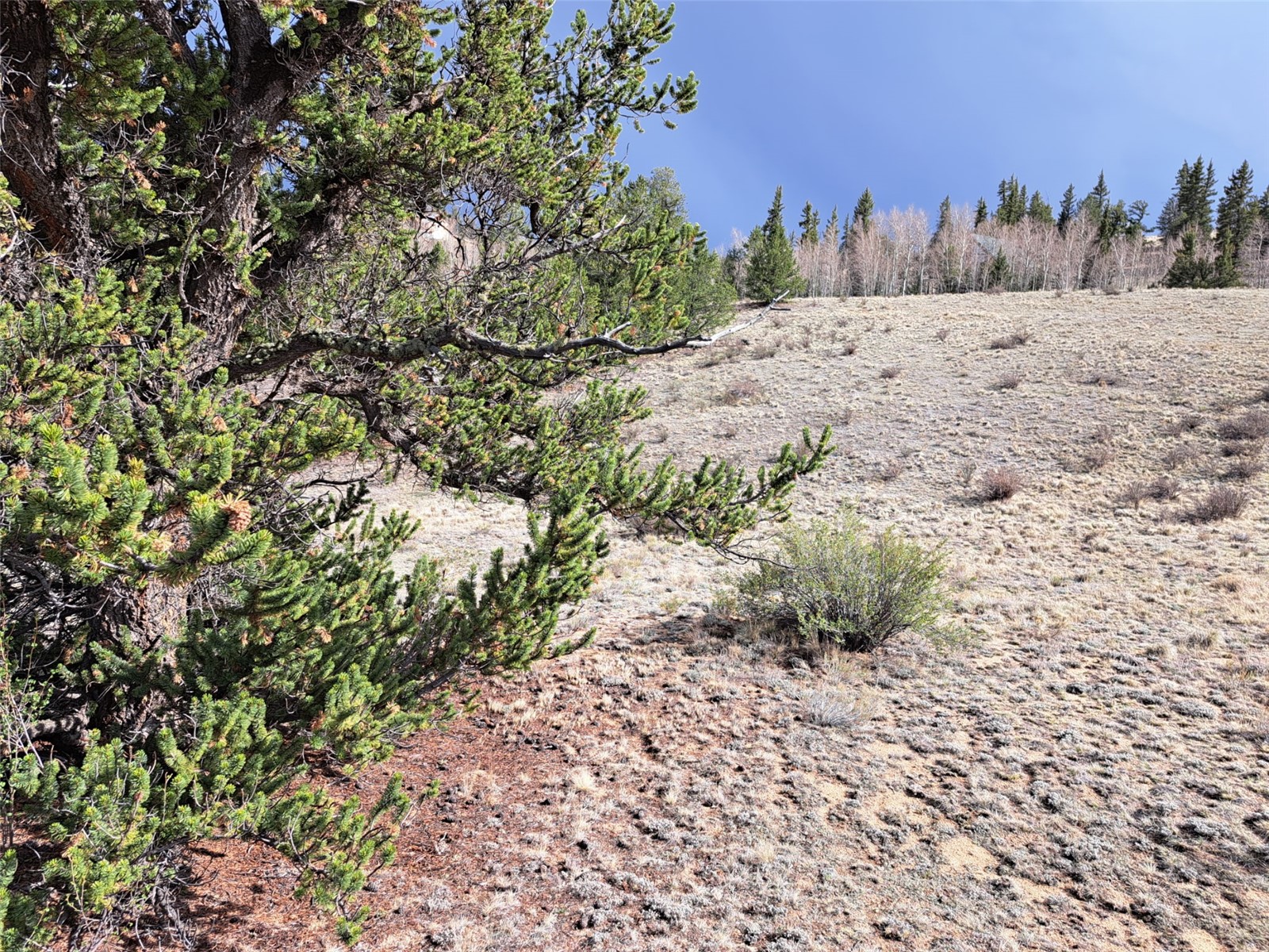 1411 Travois Road Como, CO 80456 - Photo 7 of 11 a view of a snow on the beach