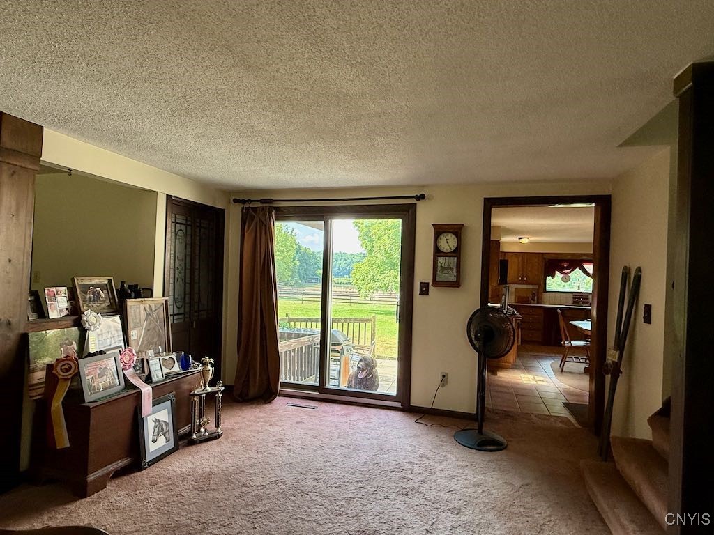 377 Chesbro Road Schroeppel, NY 13132 - Photo 14 of 50 Entrance to the deck