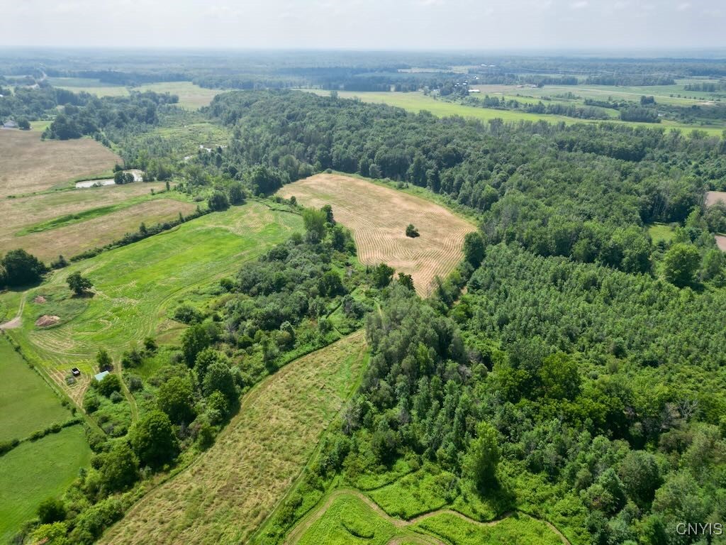 377 Chesbro Road Schroeppel, NY 13132 - Photo 45 of 50