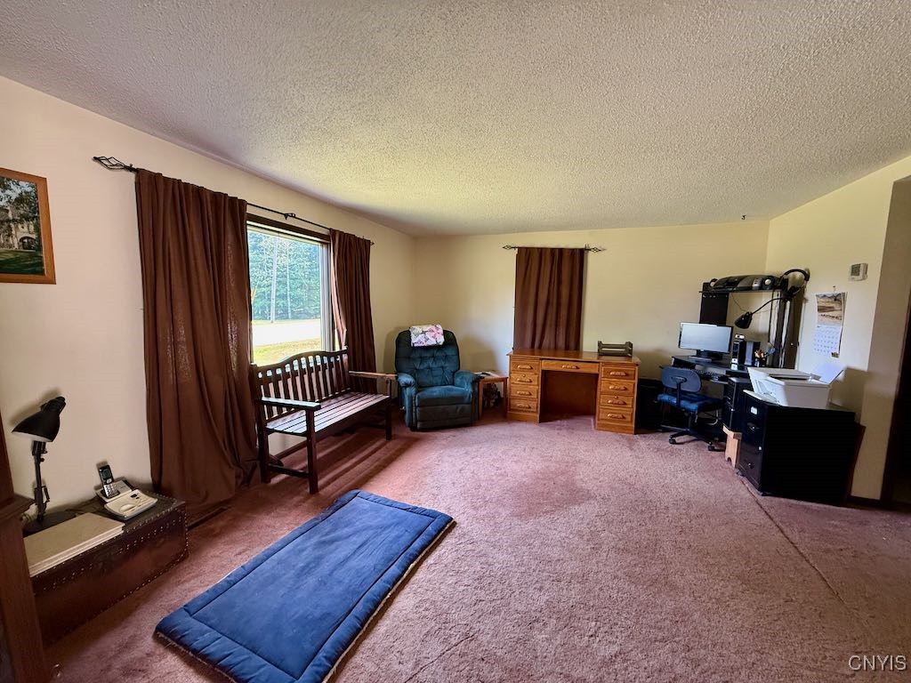 377 Chesbro Road Schroeppel, NY 13132 - Photo 9 of 50 Family room/den