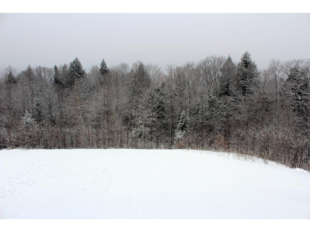 8-b-4 Summit Vista Road, Unit 4 Intervale, NH 03845 - Photo 32 of 36