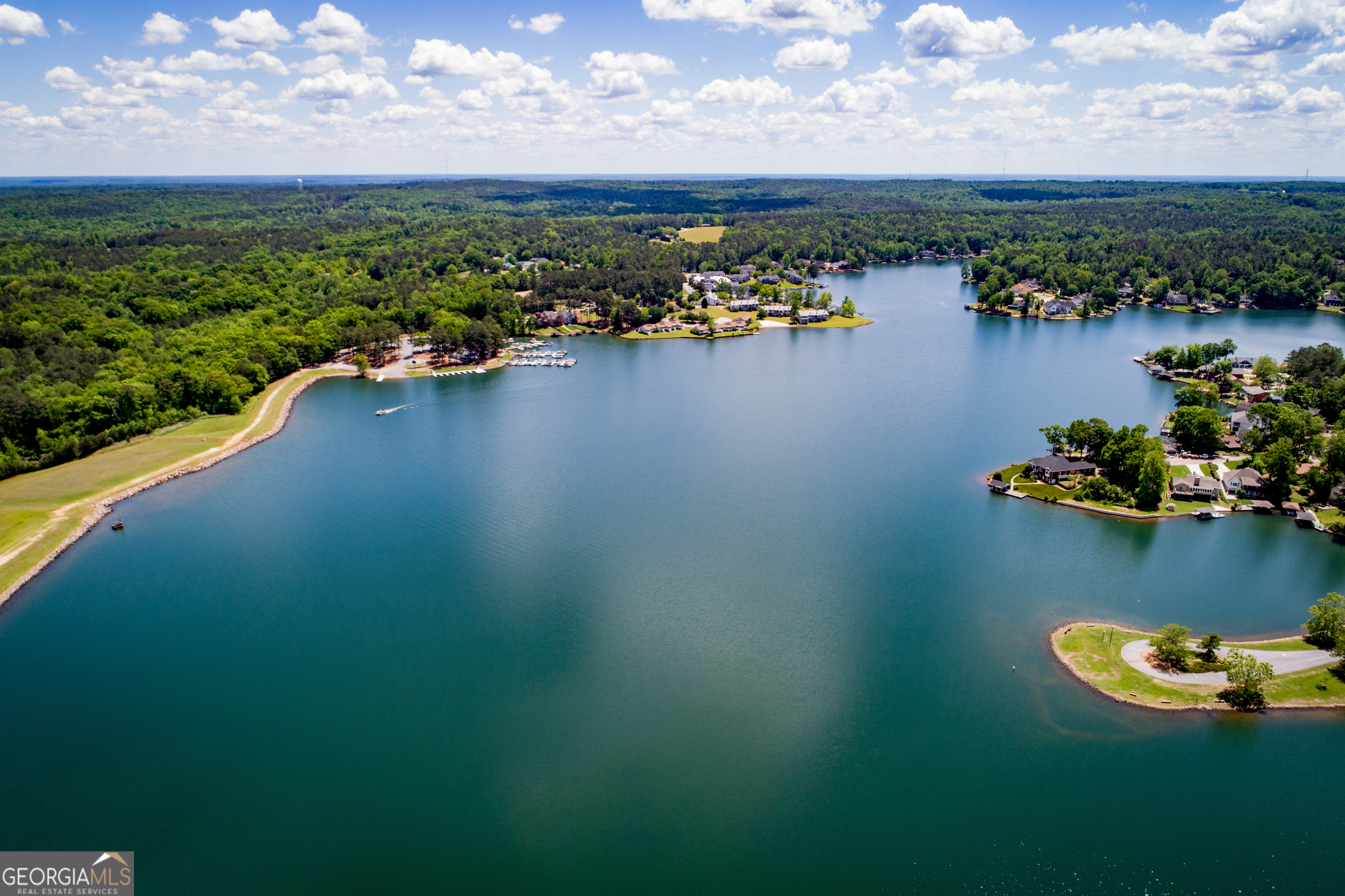 295 Clearview Court Villa Rica, GA 30180 - Photo 29 of 49 a view of a lake with a houses