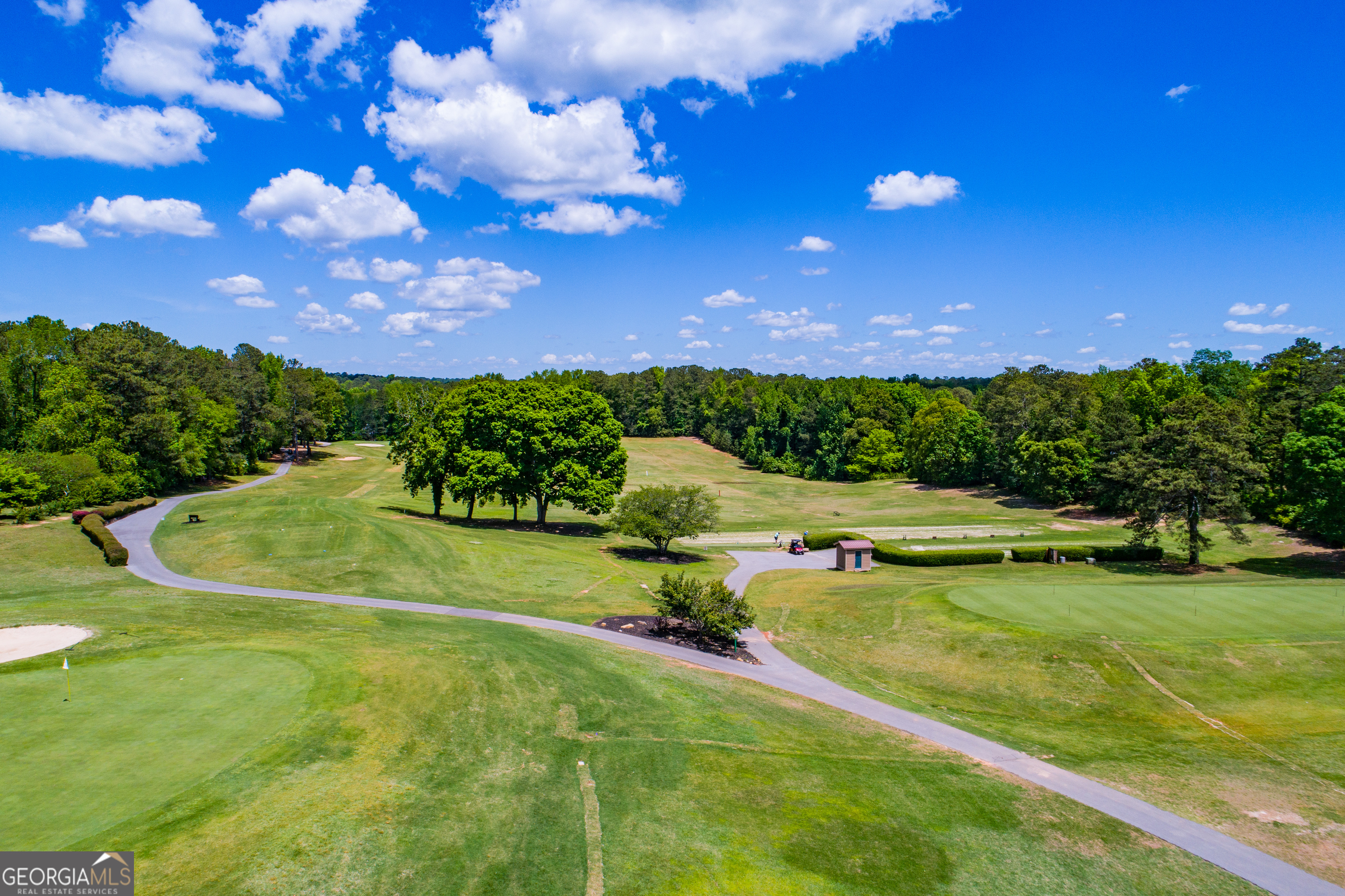 295 Clearview Court Villa Rica, GA 30180 - Photo 39 of 49 a view of a golf course with a garden