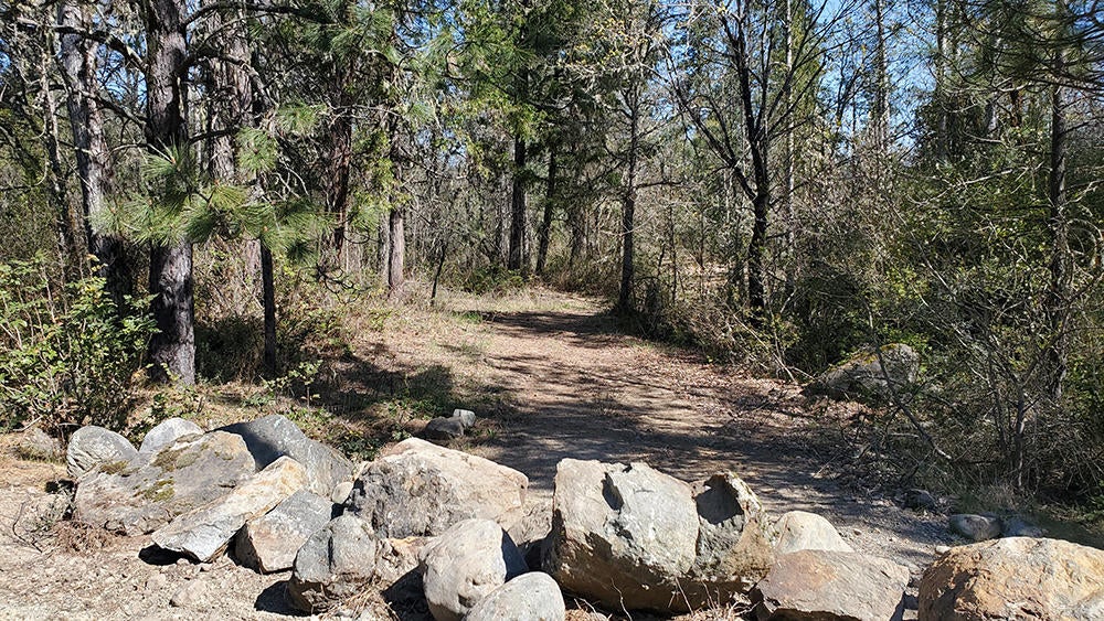 4750 Waldo Road Cave Junction, OR 97523 - Photo 12 of 22 11