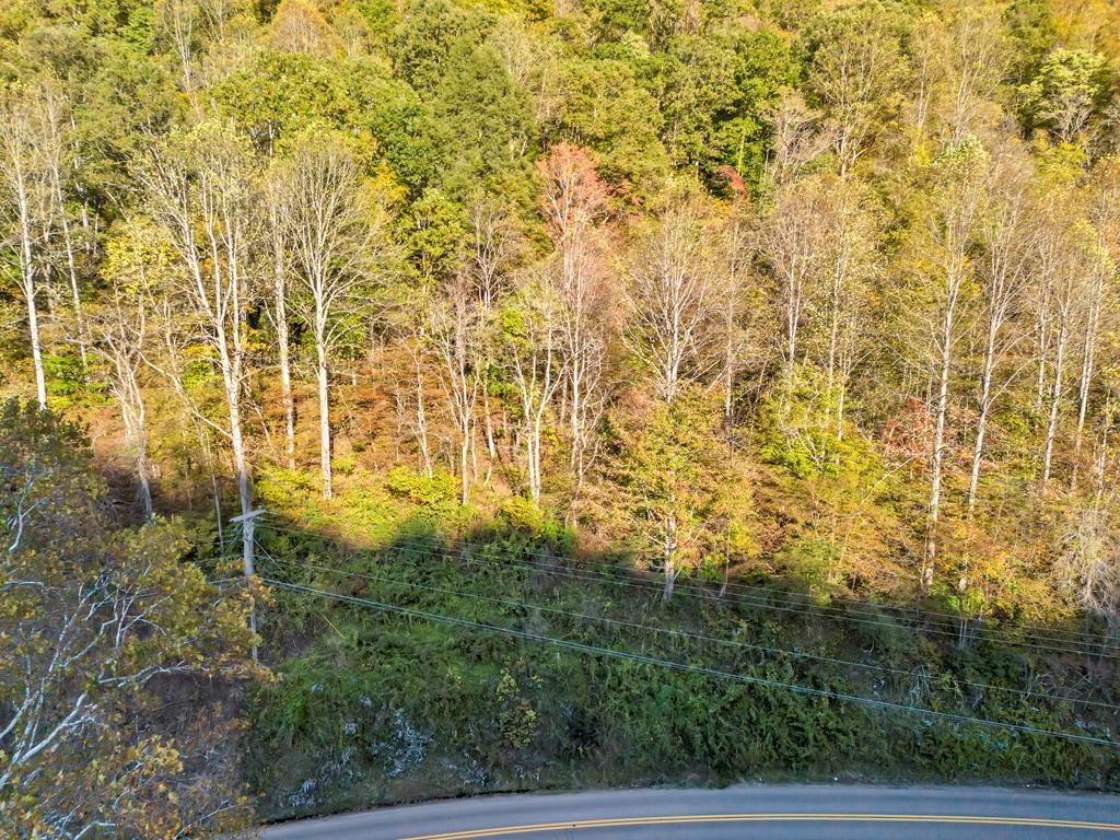 0 Cherokee Road Northfork, WV 24868 - Photo 26 of 27 Gallery Image 26