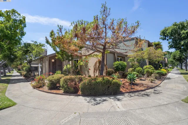 a view of a backyard with plants