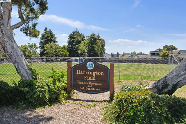 a view of a park with plants and a bench