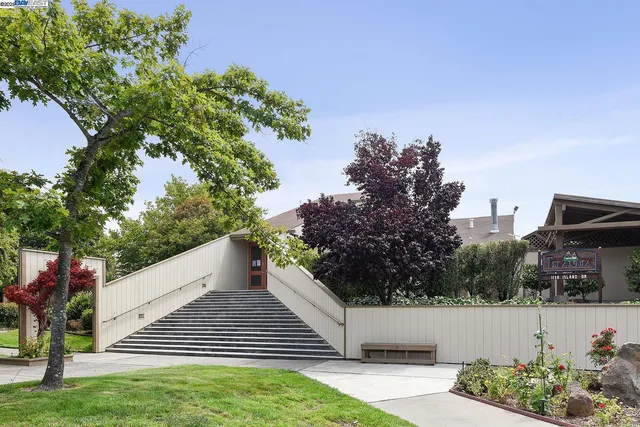 a view of a yard with plants and a table under an umbrella