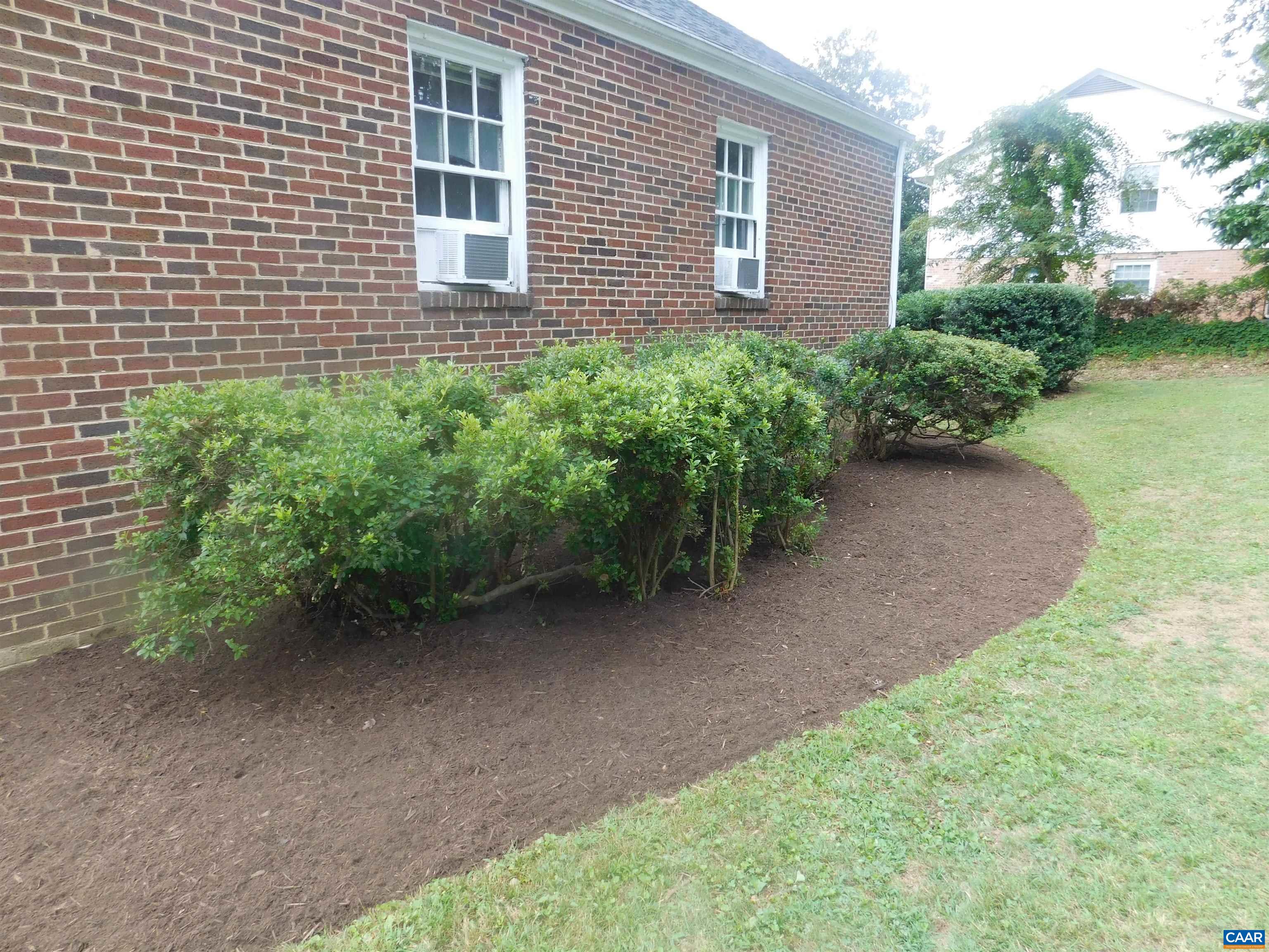 307 Alderman Road Charlottesville, VA 22903 - Photo 37 of 41 a view of a backyard with plants and large tree