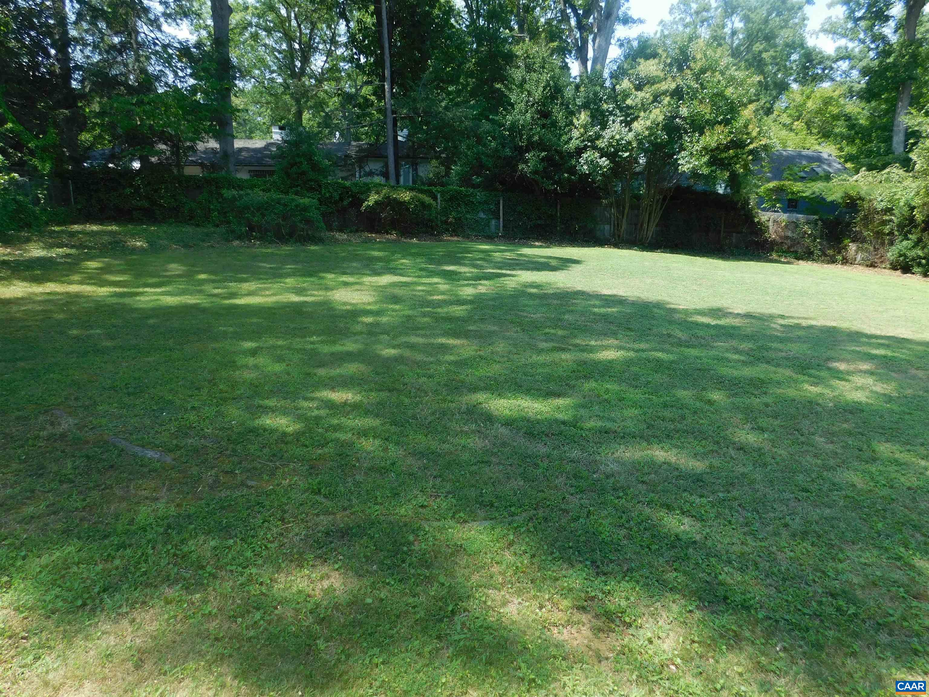 307 Alderman Road Charlottesville, VA 22903 - Photo 38 of 41 a backyard of a house with lots of green space