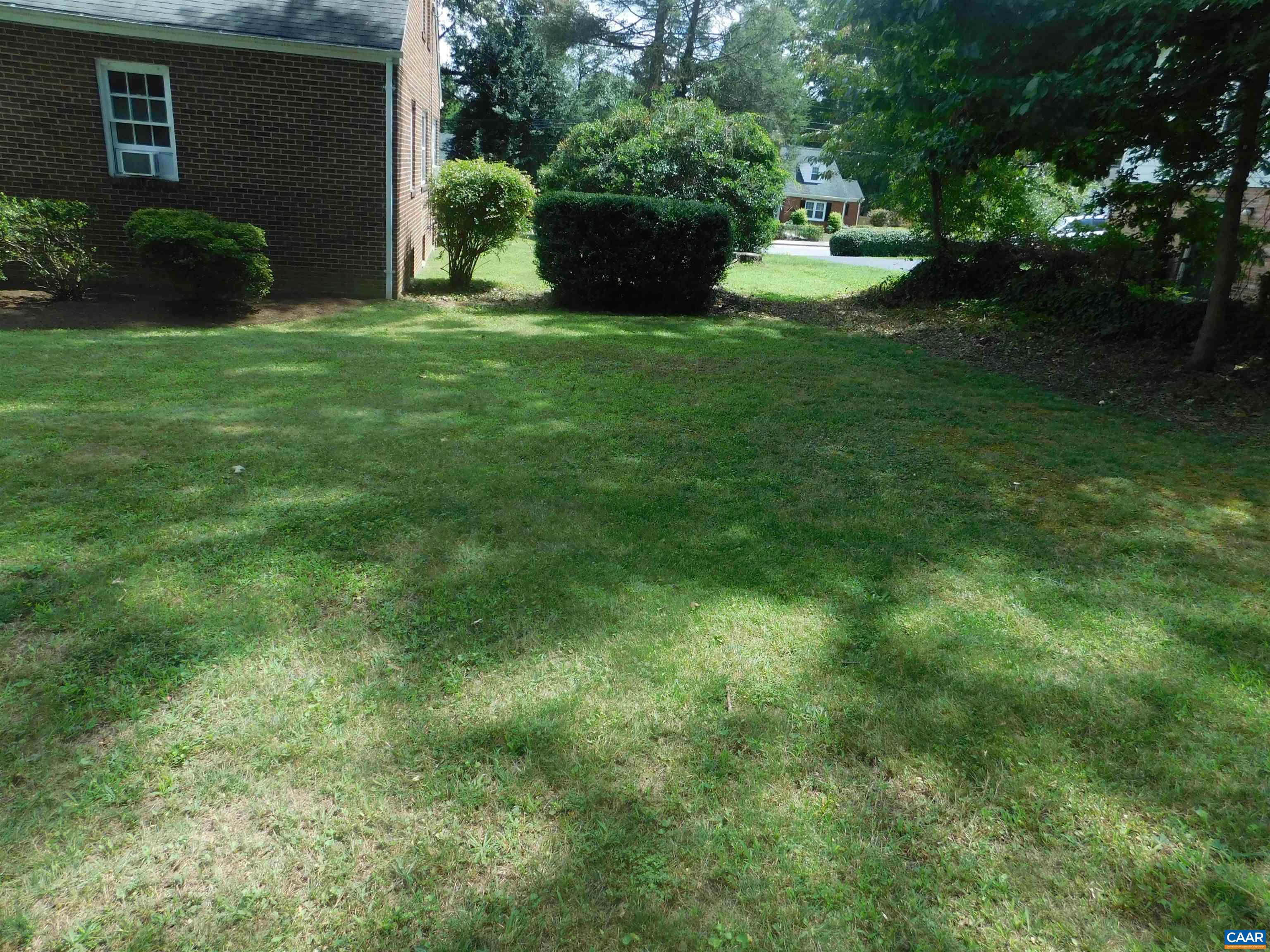 307 Alderman Road Charlottesville, VA 22903 - Photo 40 of 41 a view of a backyard with potted plants and a large tree