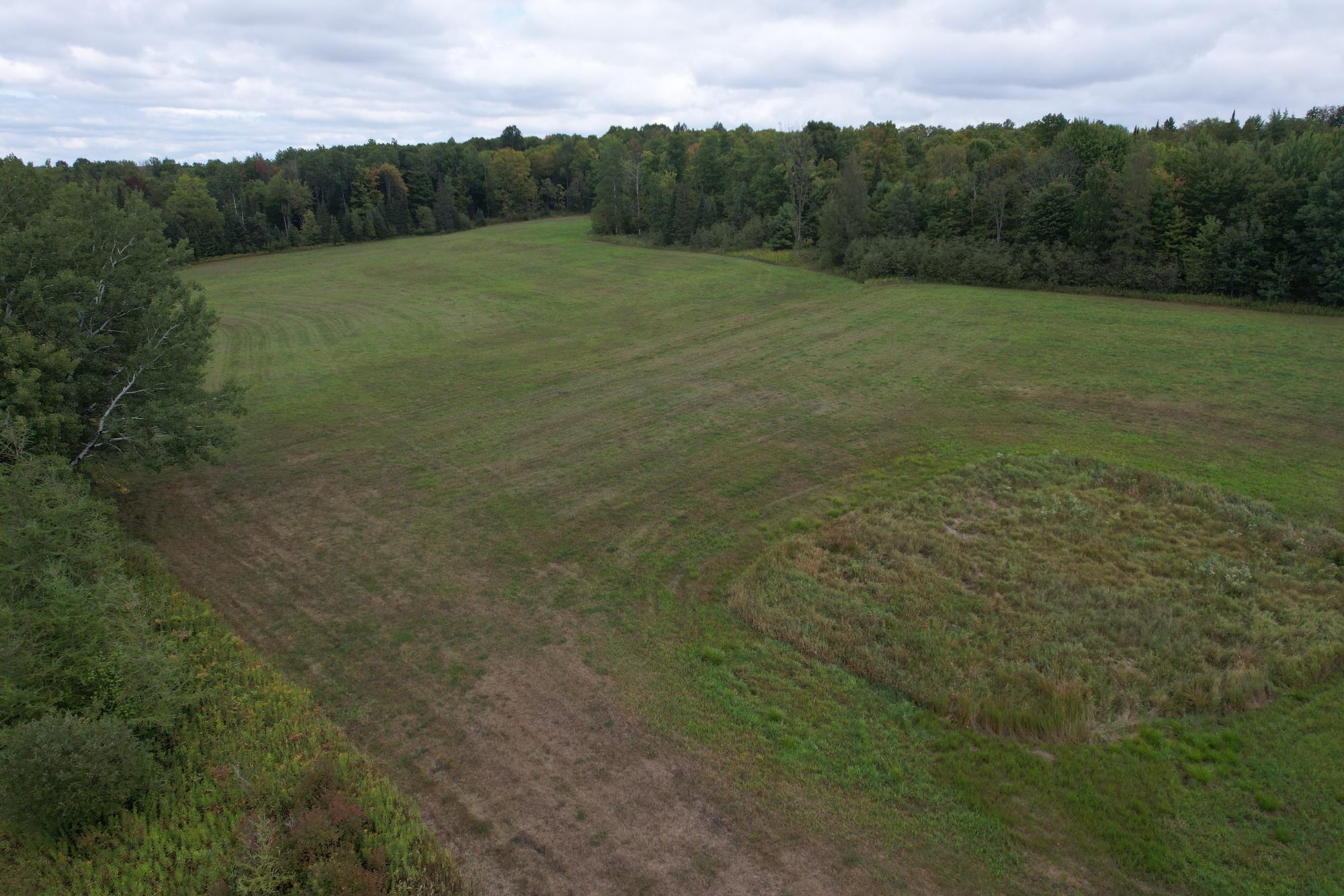 40-ac On Wagner Vogt Road Butternut, WI 54514 - Photo 3 of 25 Gallery Image 3