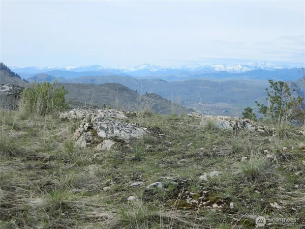 a view of a dry yard with green space