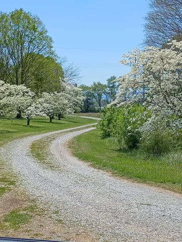 $669,000 | 240 Dogwood Drive, Decherd, TN 37324