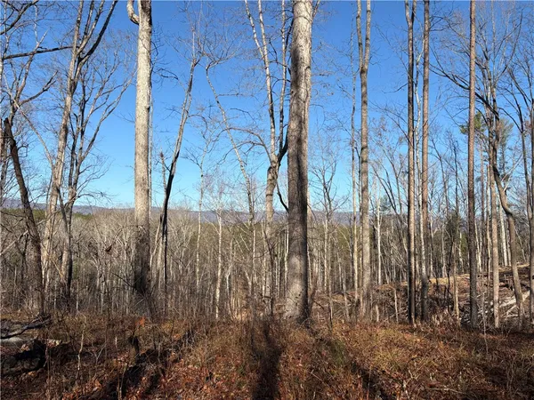 $59,895 | Tract Q The Bear Boulevard, Tamassee, SC 29686