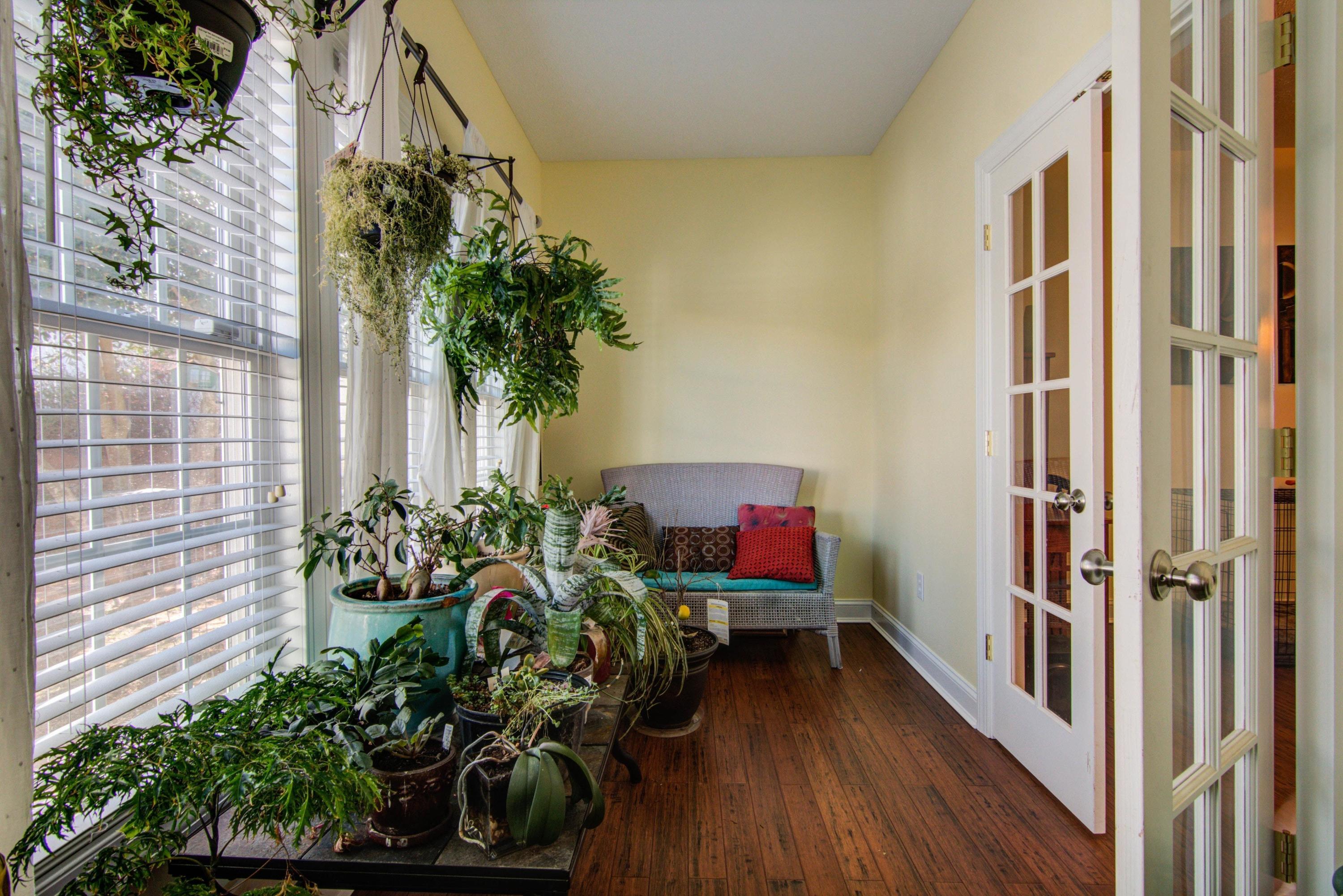 1129 Mountain View Road Vinton, VA 24179 - Photo 10 of 24 a view of a entryway with flower pots