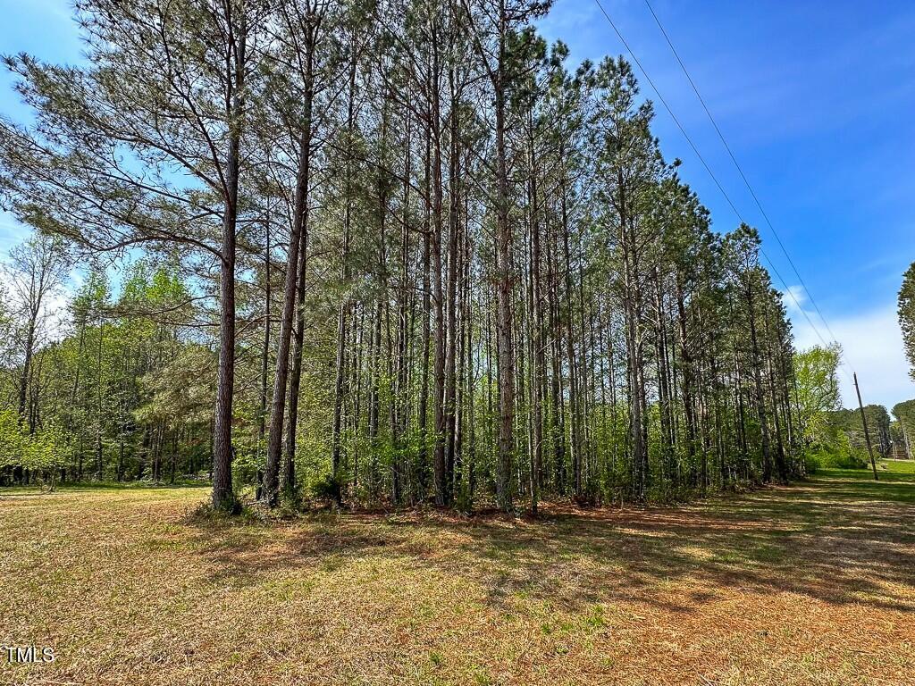 0 Rifle Range Road Warrenton, NC 27589 - Photo 13 of 38 tempImageuERyju
