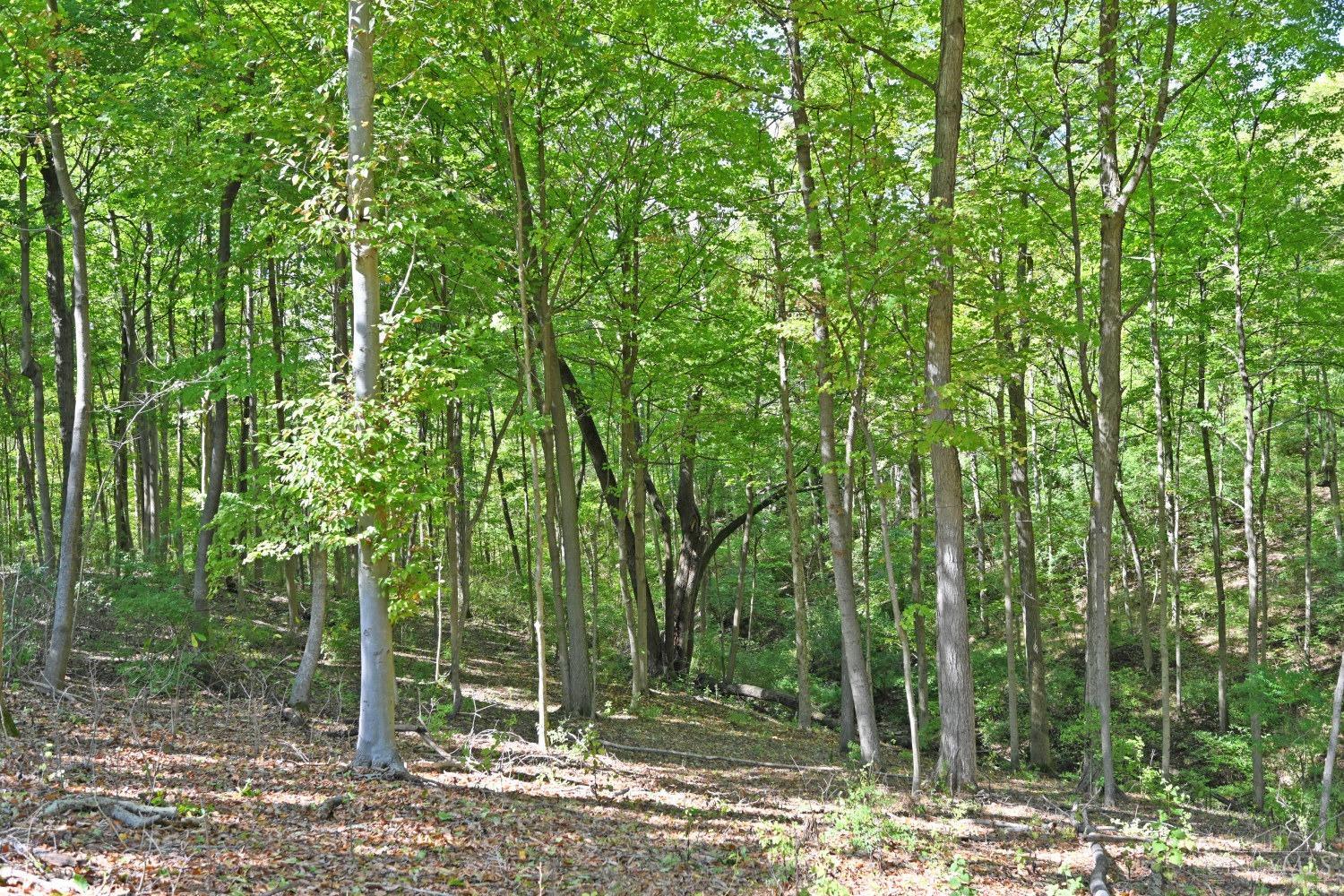 3301 Mt Carmel Road Cincinnati, OH 45244 - Photo 25 of 30