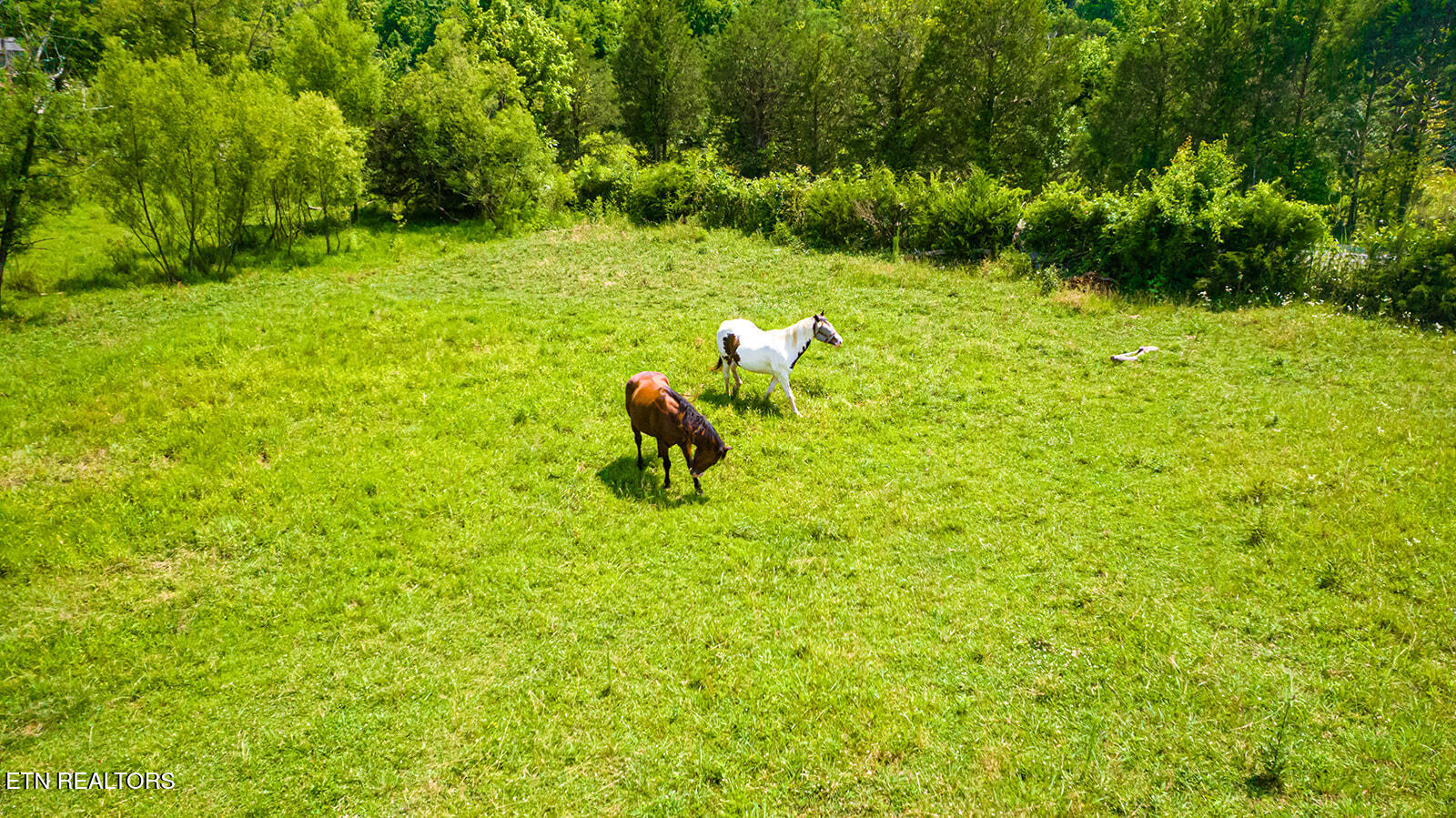 467 Sleepy Valley Road Madisonville, TN 37354 - Photo 60 of 60 DJI_0376
