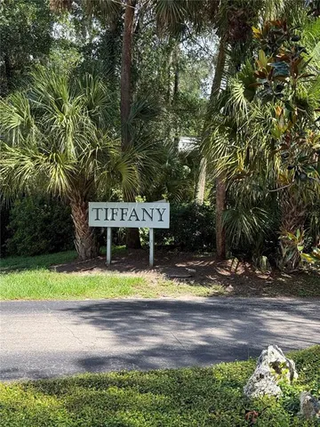a view of a yard with plants