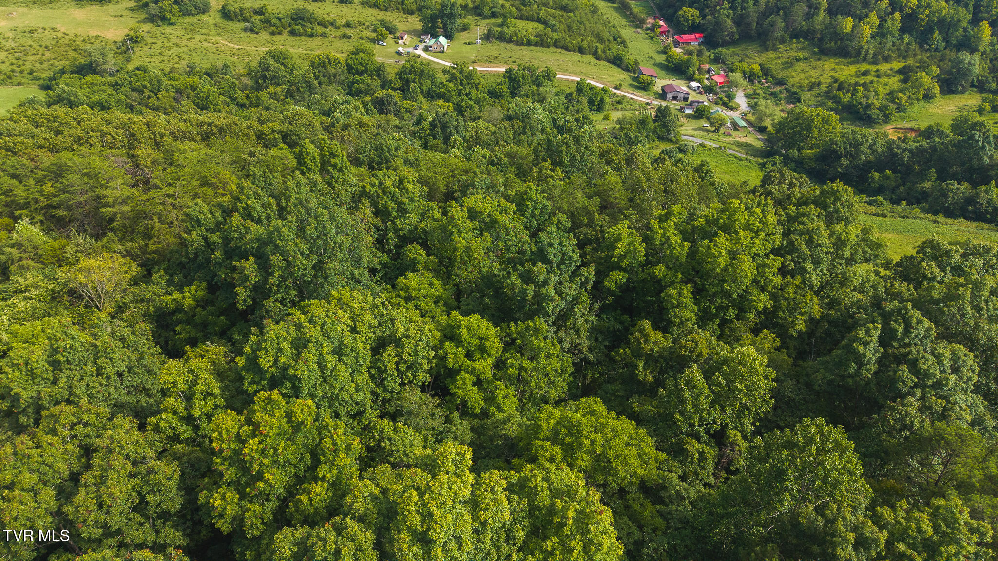 0 Gravely Valley Road Eidson, TN 37731 - Photo 18 of 36 DJI_20250716171411_0763_D