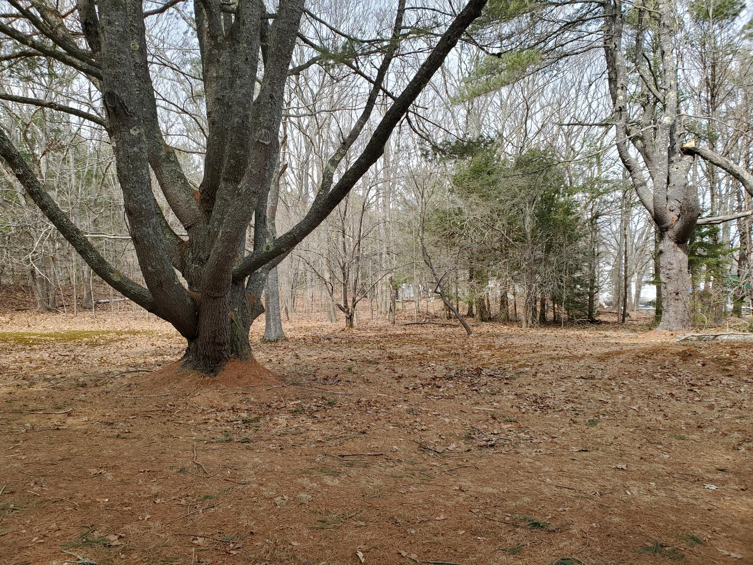 441 Harpswell Islands Road Harpswell, ME 04079 - Photo 34 of 34 20210331_124029