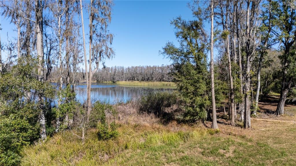 4539 Cobb Road Land O Lakes, FL 34638 - Photo 11 of 18 a view of a water pond with green space