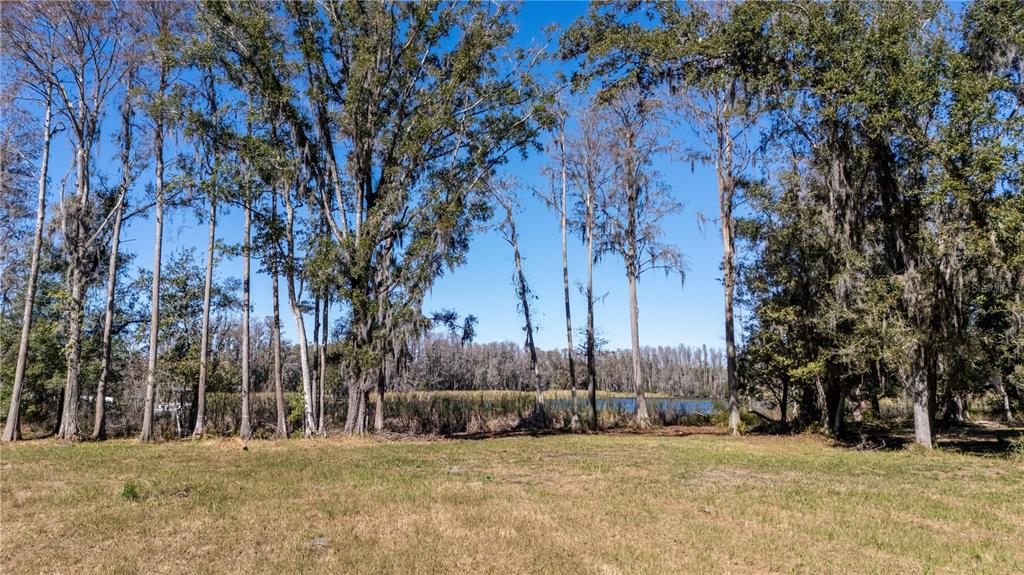 4539 Cobb Road Land O Lakes, FL 34638 - Photo 12 of 18 a view of a yard with large trees