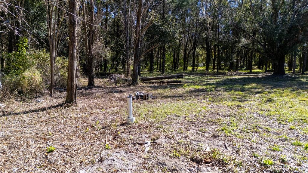 4539 Cobb Road Land O Lakes, FL 34638 - Photo 18 of 18 a view of outdoor space with deck and trees