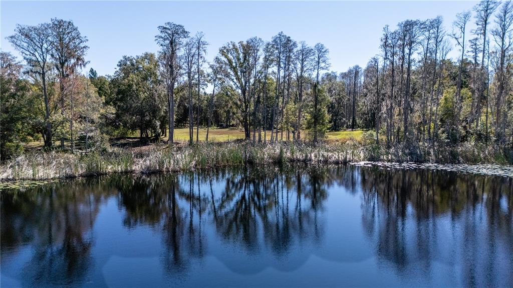 4539 Cobb Road Land O Lakes, FL 34638 - Photo 4 of 18 a lake view with boat and trees in the background